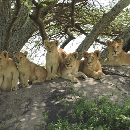 Serengeti National Park