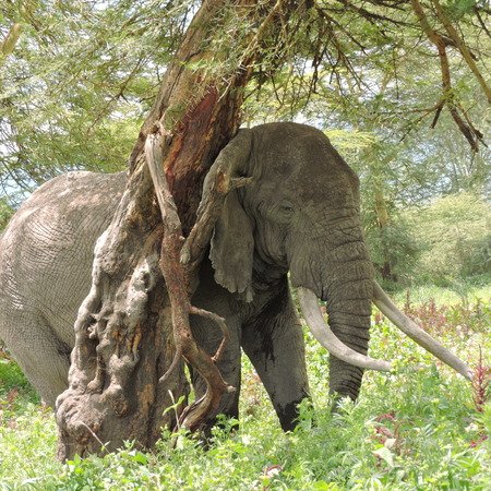 Lake Manyara